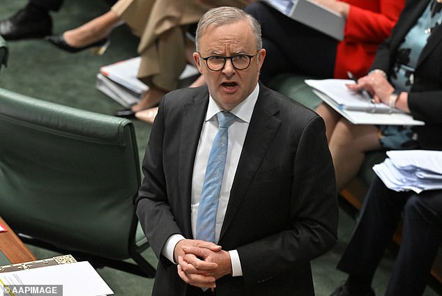 Anthony Albanese (pictured) is trying to walk both sides of the street on the Gaza issue.