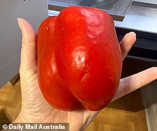 Typically, forgotten vegetables would look and smell much worse after two months in the bottom drawer.