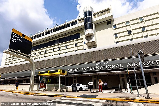 Hernandez-Garnier, 27, was arrested after the crew aboard the American Airlines flight noticed him bleeding from his forehead.