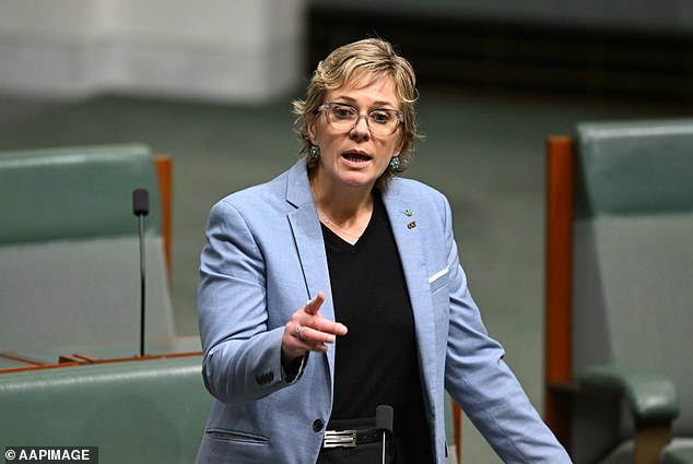 Independent Zali Steggall (pictured) regrets bad behaviour in parliament, but not her own