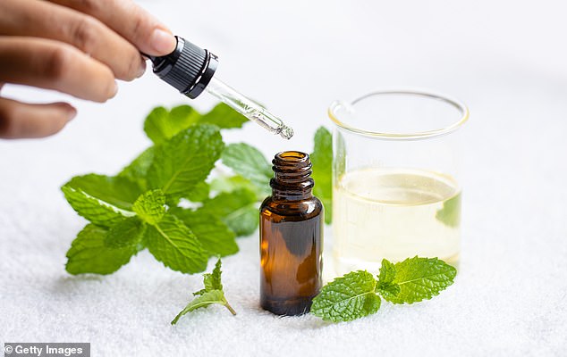 Some experts suggest using peppermint and chestnut oils in the home, as their strong scents are believed to repel spiders.