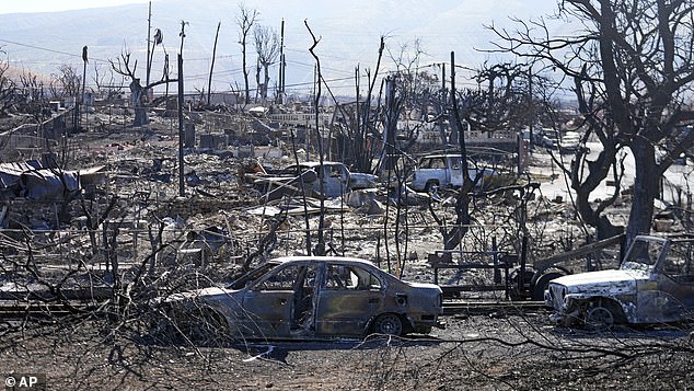 She wandered the charred streets for hours before finally meeting a police officer who took her to a hotel that had been converted into a shelter.