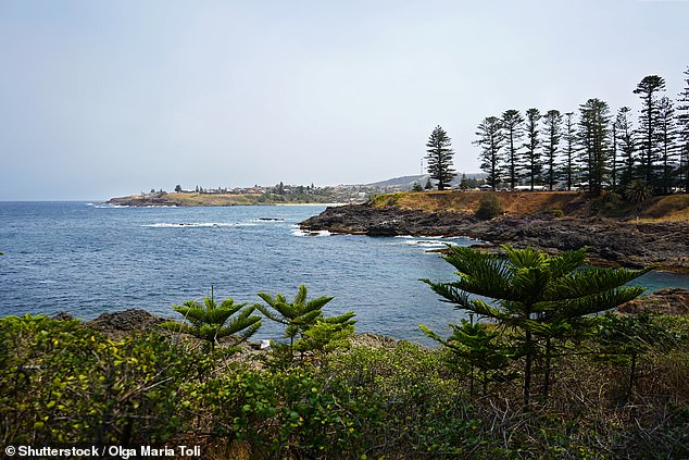 Father and son went missing while fishing at Stormy Bay in Kiama (pictured)