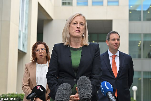 Finance Minister Katy Gallagher took aim at Fatima Payman in the Senate on Thursday.