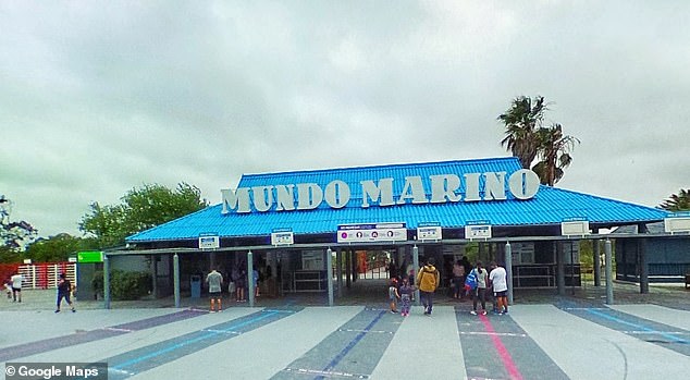 Kshamenk was first brought to Mundo Marino (pictured) in 1992 after being captured in Samborombón Bay off the coast of Buenos Aires.