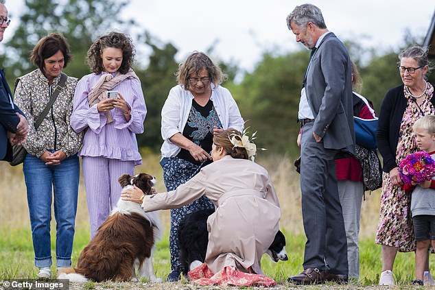 The 52-year-old looked chic in a strapless Zimmerman gown, but the designer outfit didn't stop her from getting up and getting close to the adorable dogs' muddy paws.