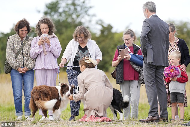 The mother of four spoke to the dogs' owner before crouching down on the ground to let them sniff her, gave them a friendly pat and even allowed one of them to jump up and lick her face.