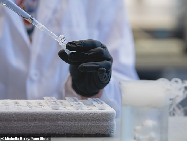 The researchers tested the therapy on mice and on cells they had grown in the lab. The next steps will involve testing the theory on more animals and eventually on humans.