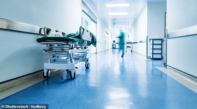 There is the expense of an already overstretched health service, with estimated costs for the 96 patients amounting to around £102,000 (file image)