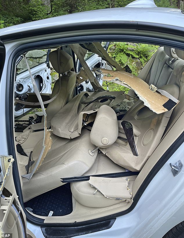 The bears tore apart the interior of the car while the horn and radio were blaring.