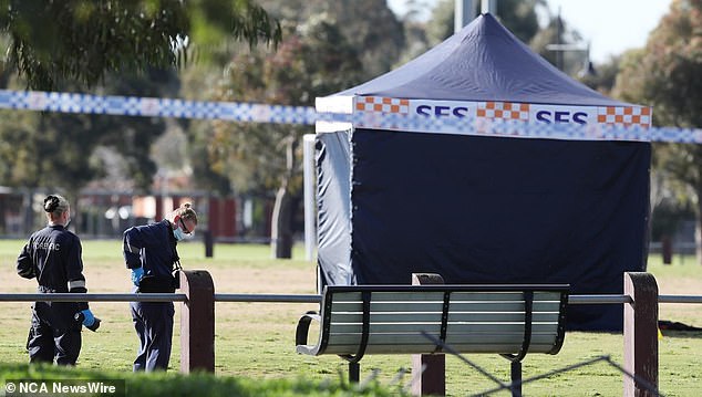 Some people in the park performed CPR on the victim before emergency services personnel arrived.