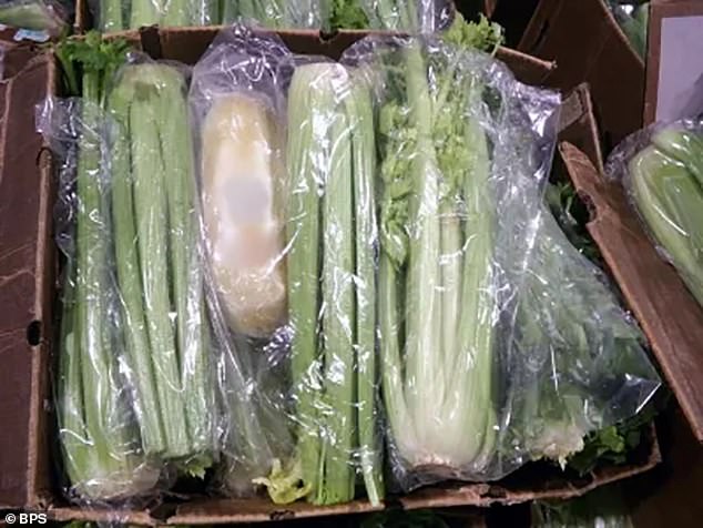 Just a week earlier, on August 9, another drug seizure was made in a huge shipment of celery, which contained 508 packages inside.