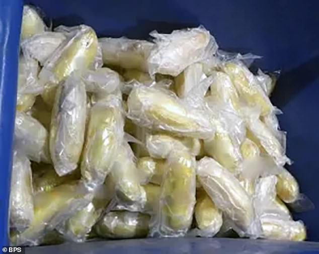 The K-9 unit had used a sniffer dog, which alerted to the methamphetamine in the celery, resulting in an estimated value of $755,000.