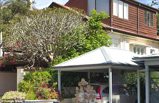 The image shows the controversial trees and bushes on the dividing fence that separates the two houses.