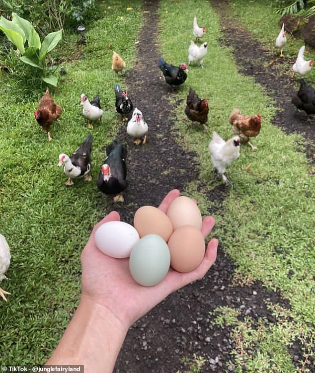 Zoe shares the property with nine ducks, three roosters, 15 hens, four cats and a pitbull rottweiler.