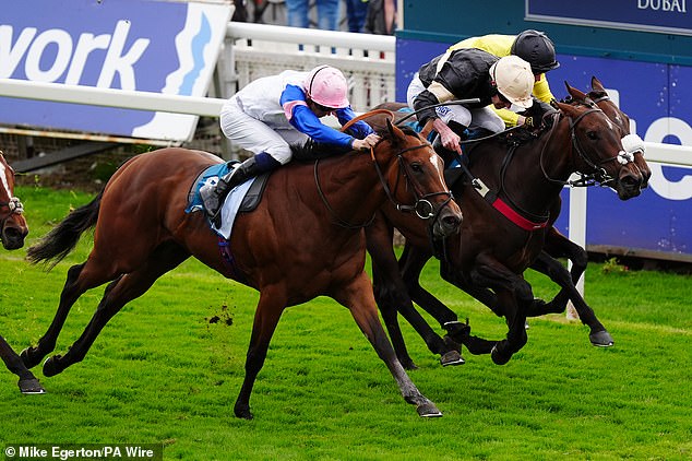 The royals will also present the trophy to the winner of the Ebor Handicap, which is the oldest race in the organisation's history, dating back to 1843.