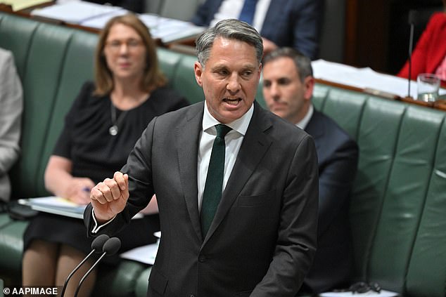 Deputy Prime Minister Richard Marles deflected questions about the impact of the result at federal level, saying local issues such as crime were the driving force behind Labor's defeat.