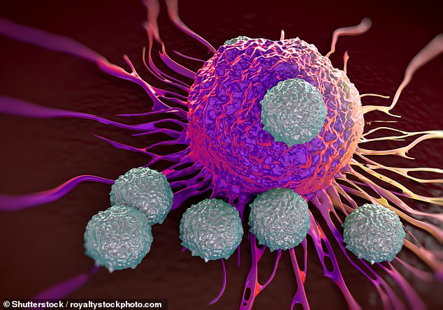 The thymus produces T cells (seen fighting a cancer cell in an illustration), which help the body fight infections and diseases.