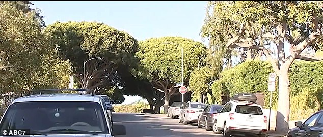 Police were called to Maple Street, a community in Santa Monica where the kidnapping attempt was foiled.