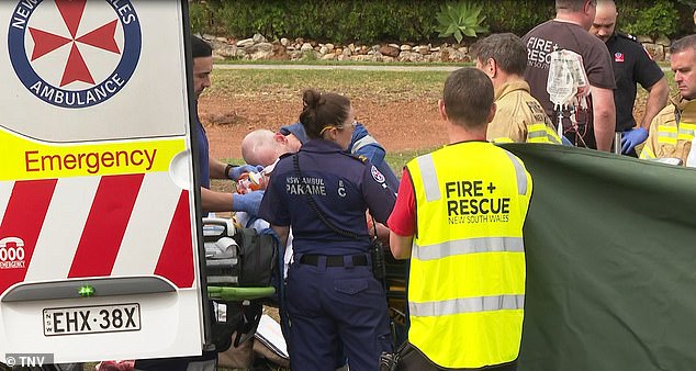 Emergency services (pictured) were called to Old Bush Road, near the Princess Highway, in Engadine, at around 9.15am on Sunday following reports of a multi-vehicle crash.