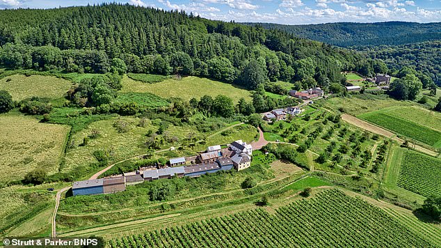 They are now looking to retire and sell the estate, which includes 22 acres of vineyards, a four-bedroom farmhouse, several farm buildings and 128 acres of land in total.