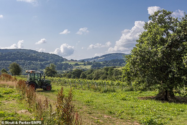 A range of viticultural machinery and equipment is also available by separate negotiation, in addition to existing wine stocks.