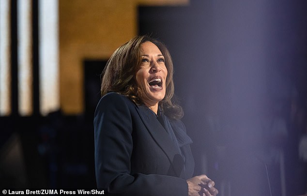 Harris and Democrats at the National Convention in Chicago last week said the border can be secured while allowing asylum seekers to enter the United States.