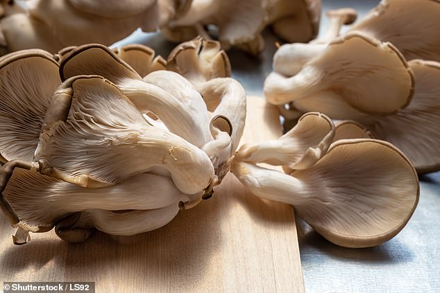 Dyson uses fungal chitosan, extracted from the cell walls of oyster mushrooms, as the active ingredient in its hair serum (file photo)