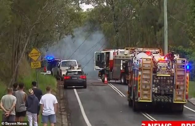 Pictured: Emergency services attend the aftermath of the crash in Taufua, which killed Susan Zimmer, 70, her partner Chris Fawcett, 79, and Zimmer's daughter Steffanie.