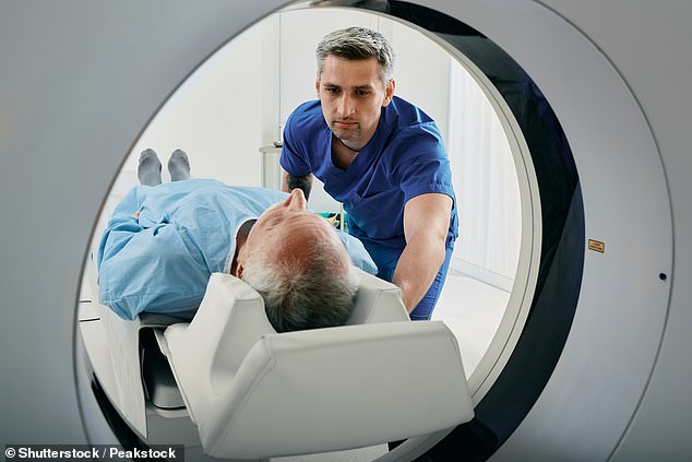 Researchers aim to create a digital tool that radiologists can use when scanning patients to determine their risk of dementia and diagnose the early stages of related diseases (file photo)