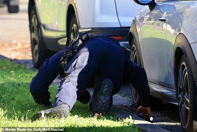 In the picture: a police officer searches under a car.