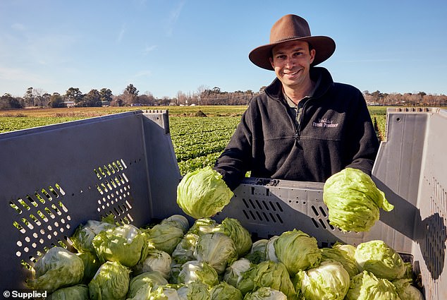 Matt Vela, a third-generation lettuce farmer from Camden, is one of the dedicated farmers behind McDonald's delicious food.