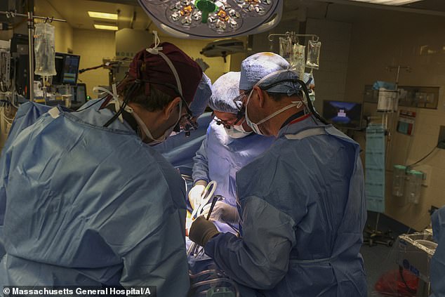 Surgeons perform the world's first genetically modified pig kidney transplant into a living human at Massachusetts General Hospital in Boston on March 16, 2024.