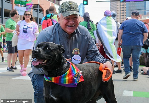 Scout, seen here with the Democrat, has been in Walz's family since 2019 and makes frequent appearances on his social media.