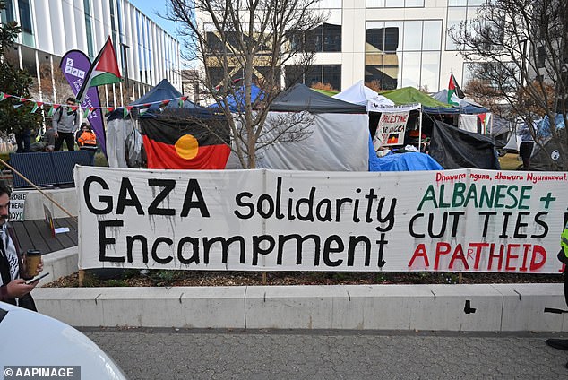 Pictured: Banners at a pro-Palestine protest at the Australian National University in Canberra.