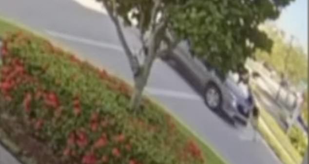 Shocking video shows a gray pickup truck running over a woman and her baby in a stroller