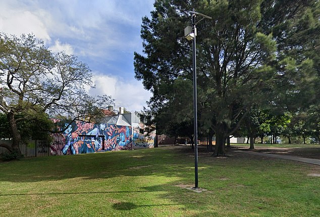 The terrace would occupy just 30 square metres of Camperdown Memorial Park (pictured)