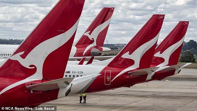 The new airline will offer an alternative to travel routes already dominated by Qantas (file image)