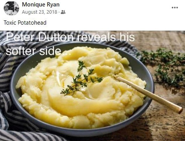 Pictured is the meme that Teal MP Monique Ryan shared about Peter Dutton in 2018. She called him 