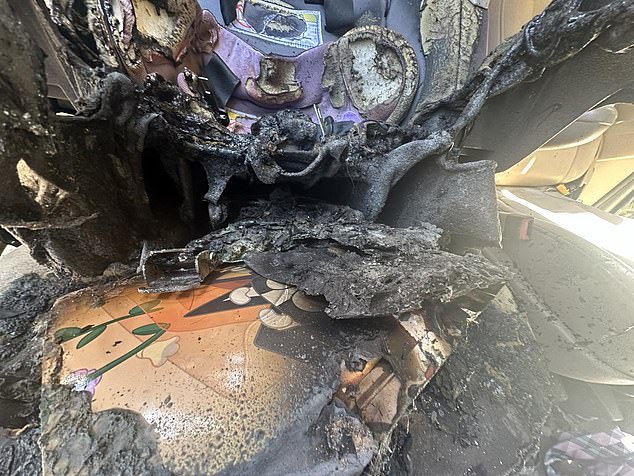 A family member used a garden hose to put out the flames, but not before the seat was reduced to a smoldering ruin.