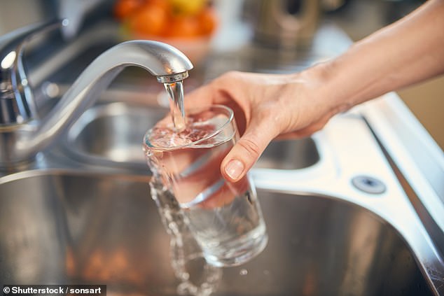 However, Dr Lloyd-Smith advised against buying bottled water to use instead of tap water. File image