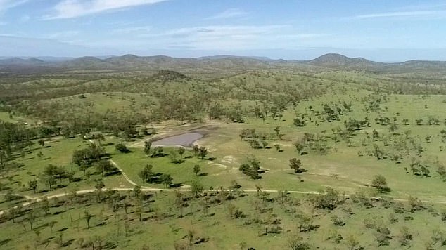 Pictured: The Schwarz-Tighe family's land at Bogie in North Queensland.