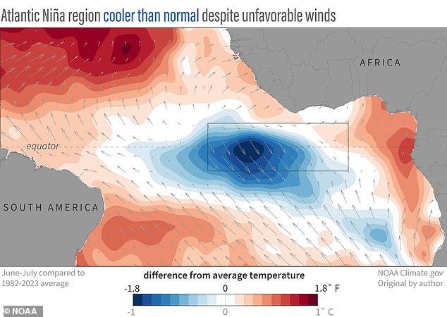 What makes this year so unusual is that winds over the cold region (pictured) are actually weaker than normal, a condition normally associated with warmer temperatures.