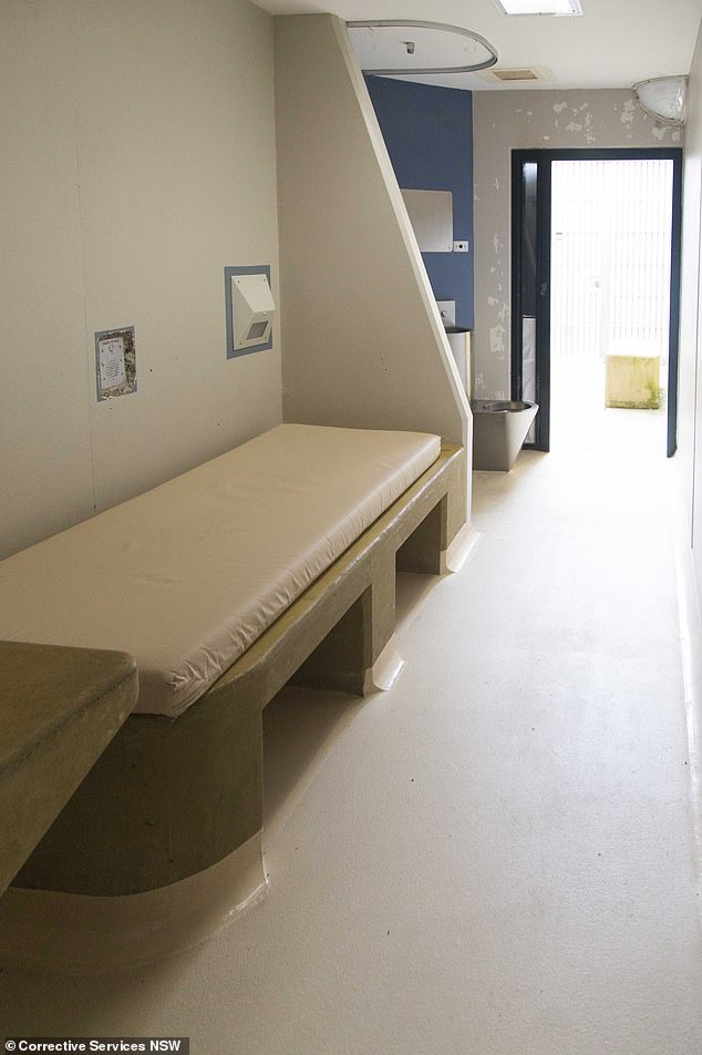 He is upset that a limit has been placed on the number of document containers he can have in his cell. Pictured is the inside of a cell within the HRM unit