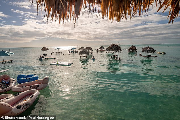 Meanwhile, from behind bars, Hamzy has been working to build a resort in Belize (pictured)