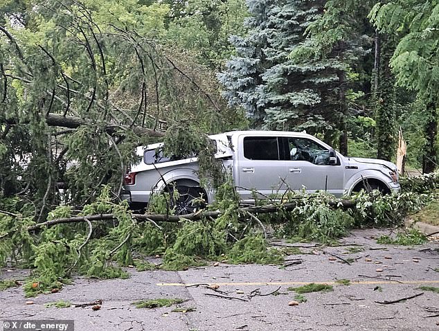 Extraordinary videos show how the storm destroyed power lines and toppled trees as strong winds and heavy rain battered parts of the state.