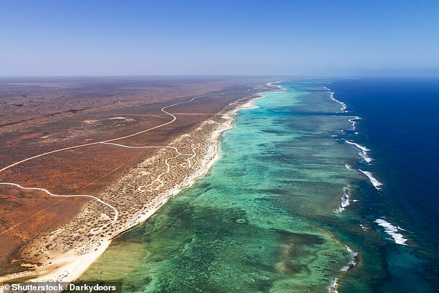 Winton said the World Heritage-listed Ningaloo Coast was being torn apart by 