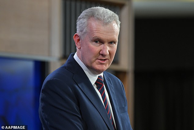 Home Office Minister Tony Burke (pictured) said he would review 