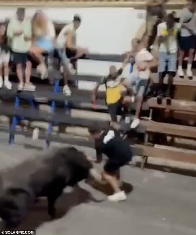 In shocking scenes, man is repeatedly gored by a bull during a Bous al Carrer race