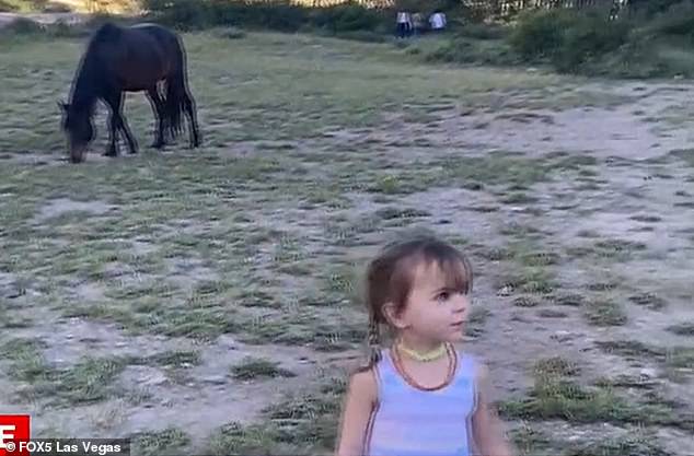 The girl's mother, Haley Wilkey, said she stopped recording to tell her son to slow down when the wild Mustang kicked 3-year-old Olivia.